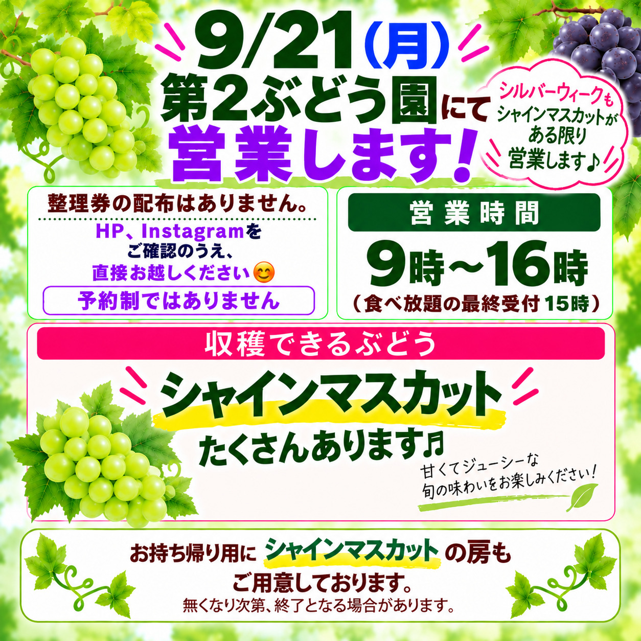 9/21(月)第2ぶどう園にて営業します(整理券の配布なし) | ヤマサ