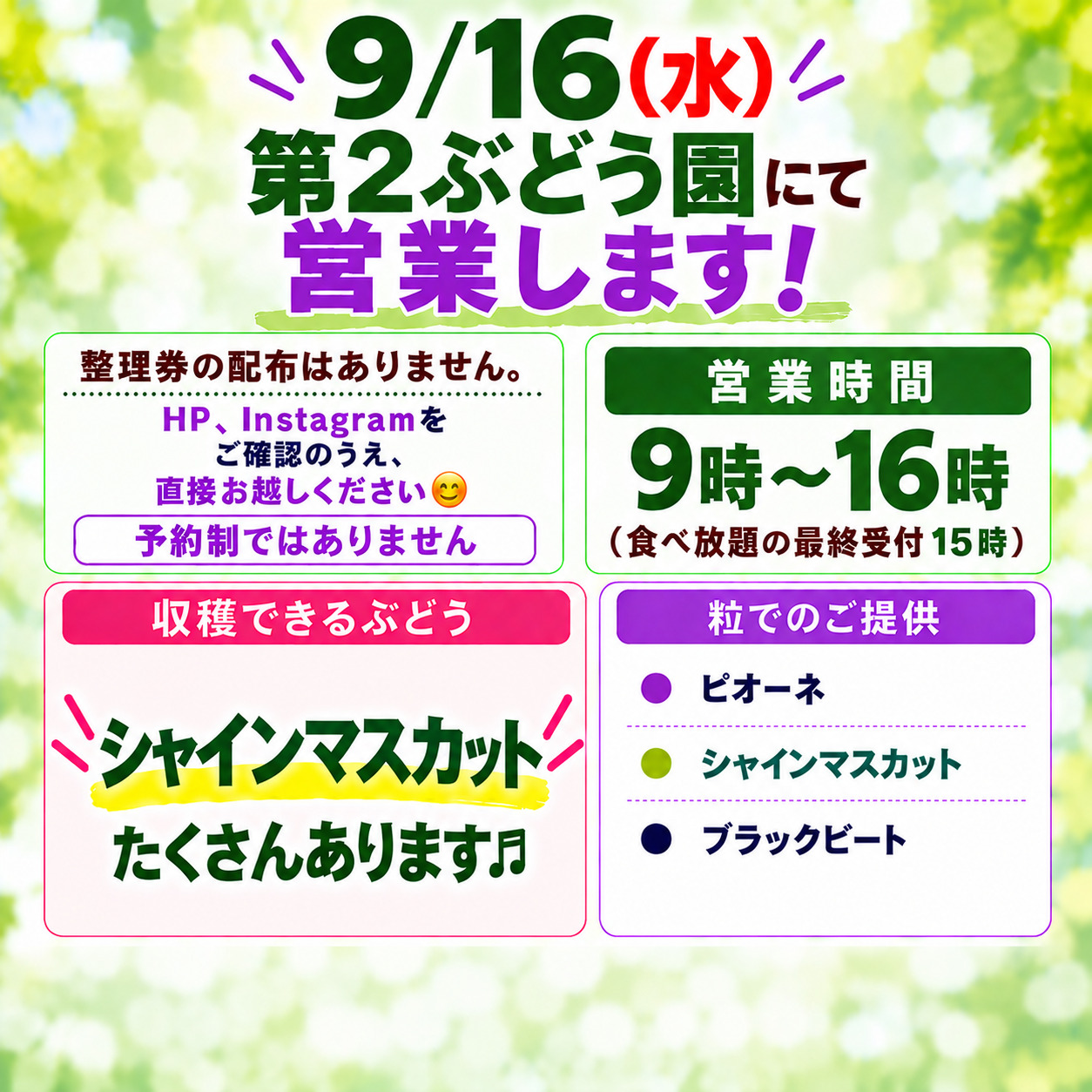 9/16(水)第2ぶどう園にて営業します(整理券の配布なし) | ヤマサ