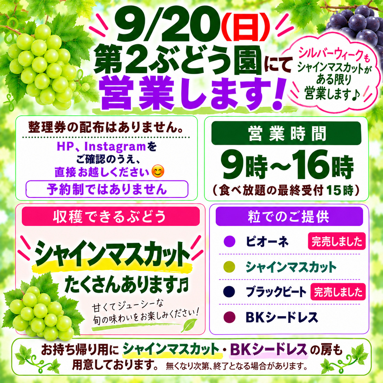 9/20(日)第2ぶどう園にて営業します(整理券の配布なし) | ヤマサ
