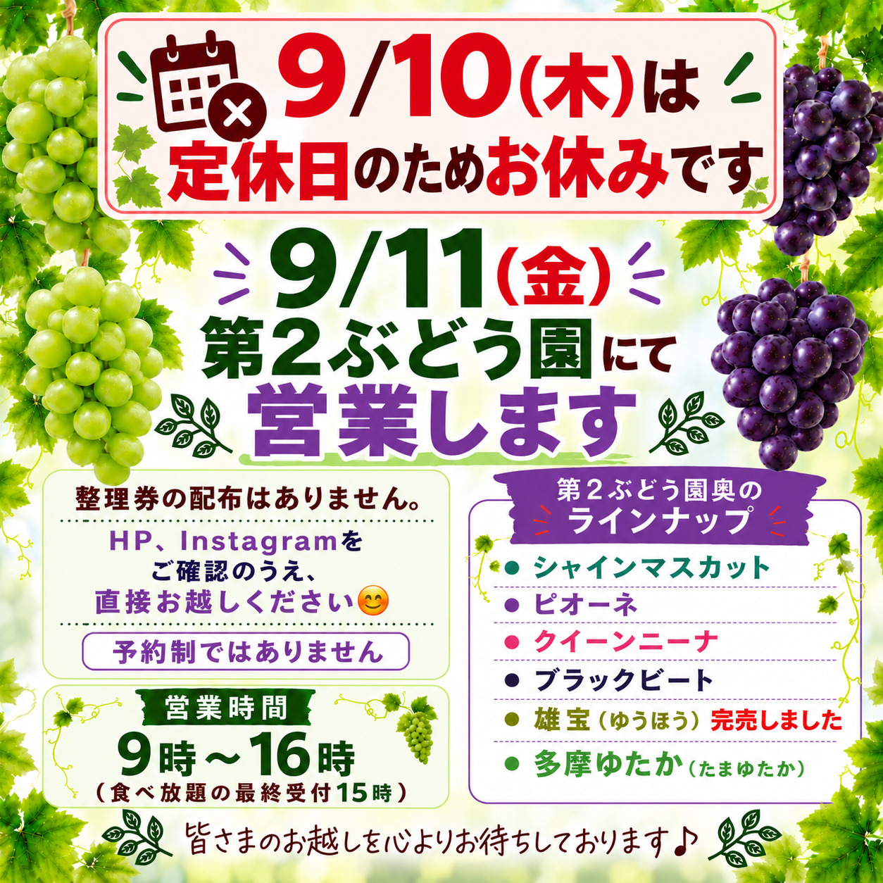 芽吹様おまとめ専用品 9/10(木)は定休日のためお休みです | ヤマサファーム（ヤマサ園芸