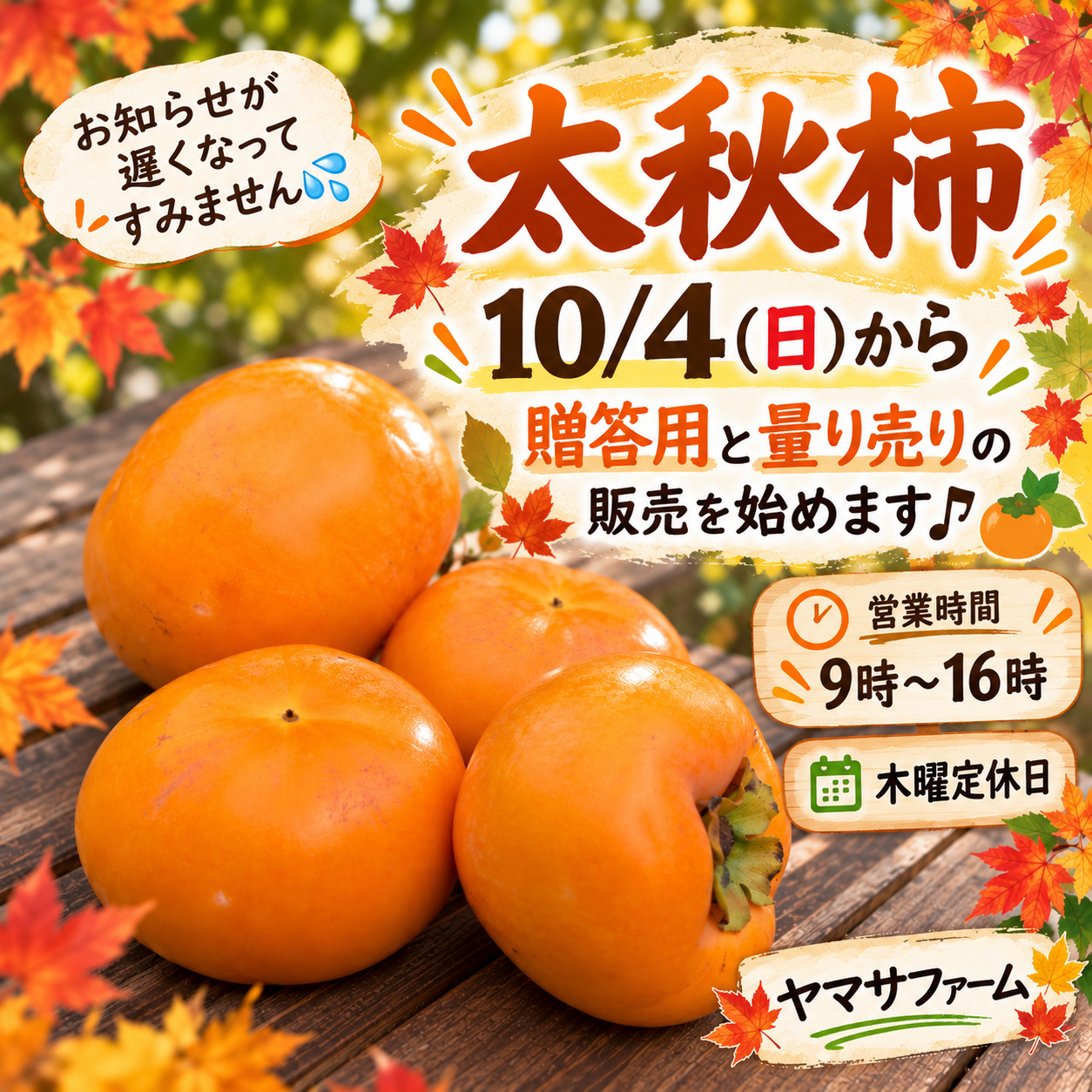 10/4(日)より太秋柿の販売を始めます | ヤマサファーム（ヤマサ園芸